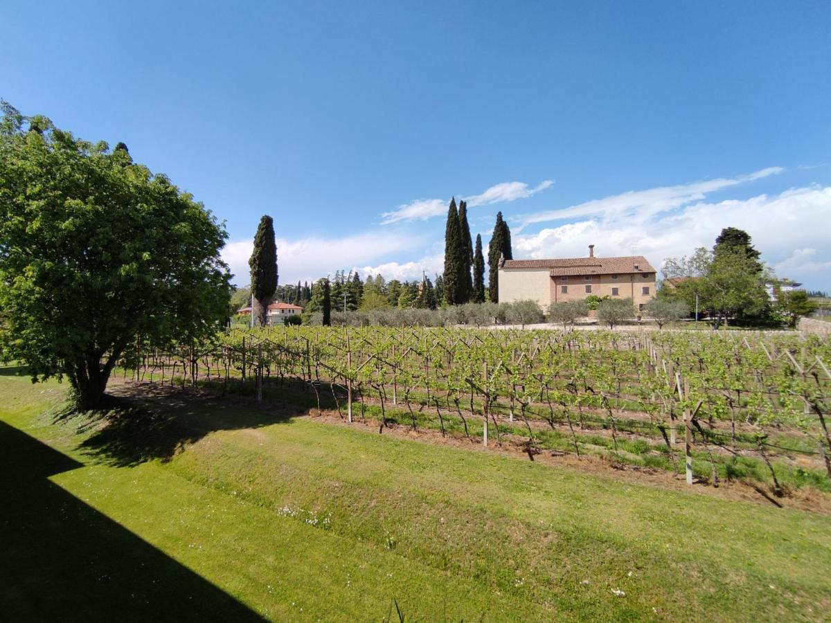 Agriturismo La Vigna Colà Exterior foto